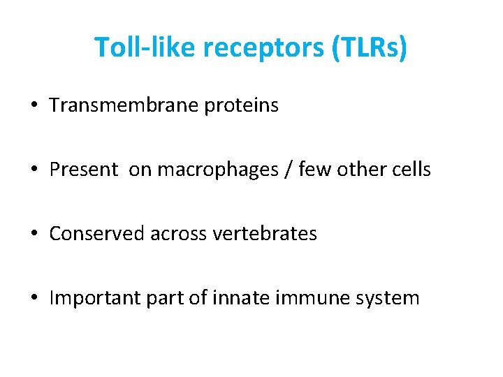 Toll-like receptors (TLRs) • Transmembrane proteins • Present on macrophages / few other cells