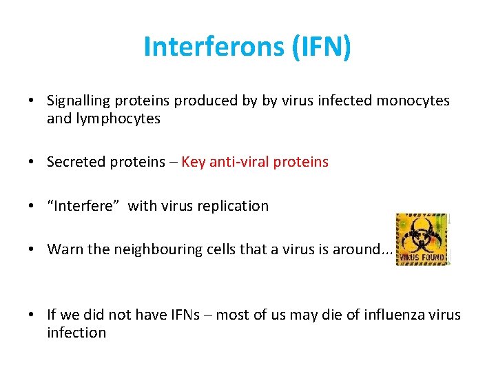 Interferons (IFN) • Signalling proteins produced by by virus infected monocytes and lymphocytes •