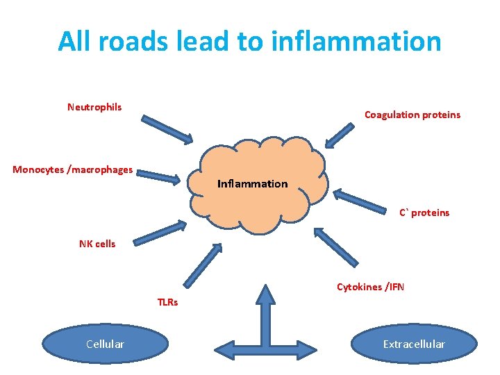 All roads lead to inflammation Neutrophils Coagulation proteins Monocytes /macrophages Inflammation C` proteins NK