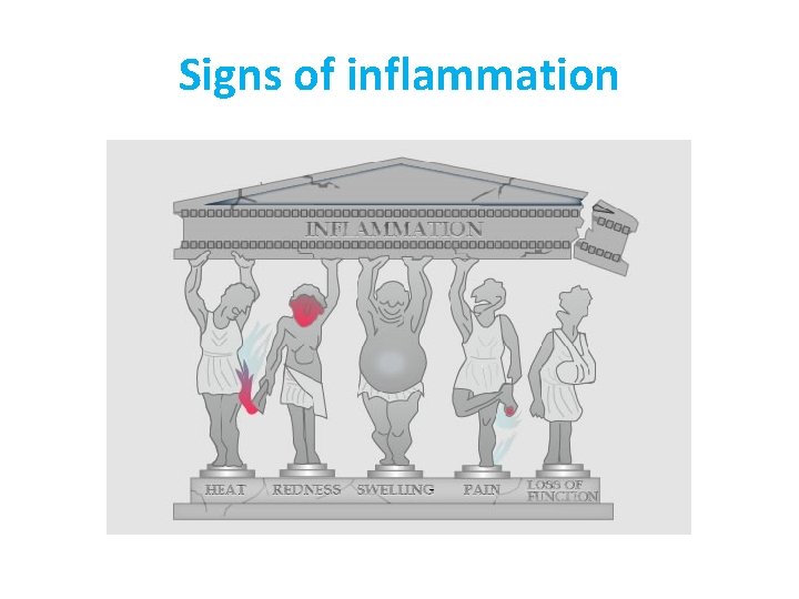 Signs of inflammation 