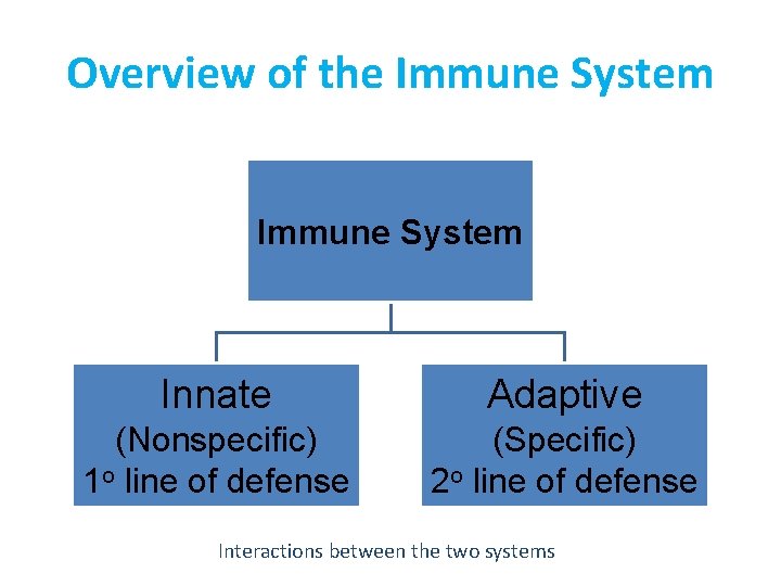 Overview of the Immune System Innate Adaptive (Nonspecific) 1 o line of defense (Specific)