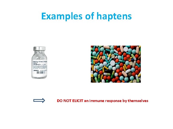 Examples of haptens DO NOT ELICIT an immune response by themselves 