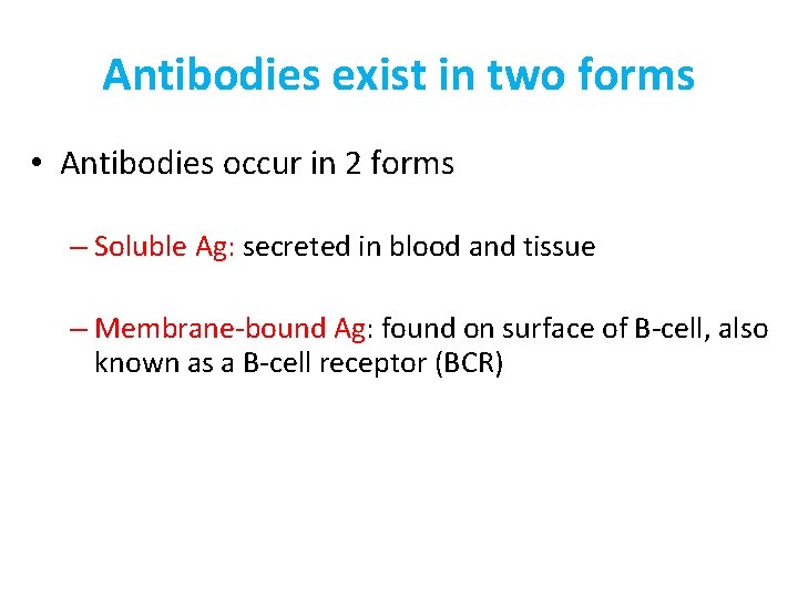 Antibodies exist in two forms • Antibodies occur in 2 forms – Soluble Ag: