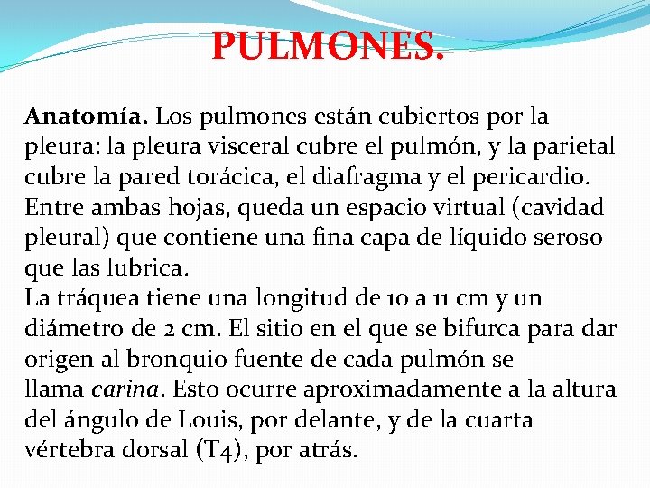 PULMONES. Anatomía. Los pulmones están cubiertos por la pleura: la pleura visceral cubre el