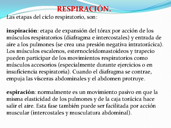 RESPIRACIÓN. Las etapas del ciclo respiratorio, son: inspiración: etapa de expansión del tórax por
