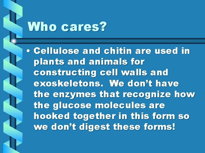 Who cares? • Cellulose and chitin are used in plants and animals for constructing