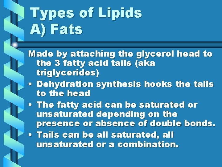 Types of Lipids A) Fats Made by attaching the glycerol head to the 3