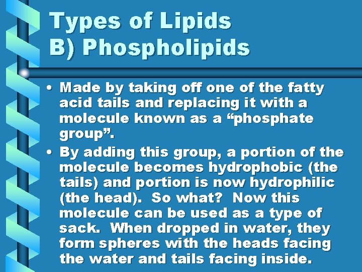 Types of Lipids B) Phospholipids • Made by taking off one of the fatty