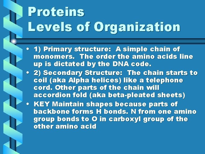 Proteins Levels of Organization • 1) Primary structure: A simple chain of monomers. The