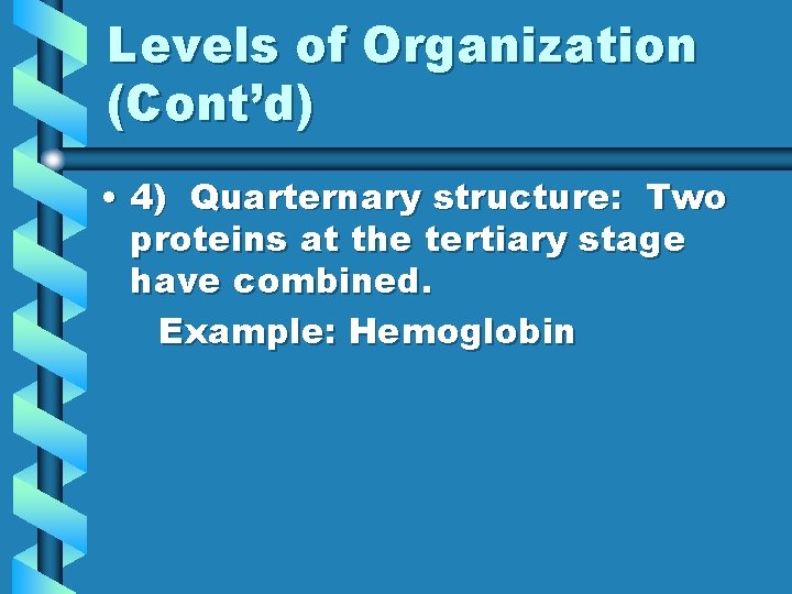 Levels of Organization (Cont’d) • 4) Quarternary structure: Two proteins at the tertiary stage