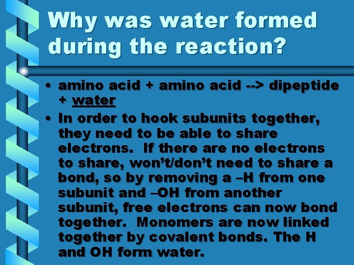 Why was water formed during the reaction? • amino acid + amino acid -->