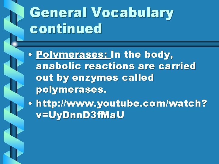 General Vocabulary continued • Polymerases: In the body, anabolic reactions are carried out by