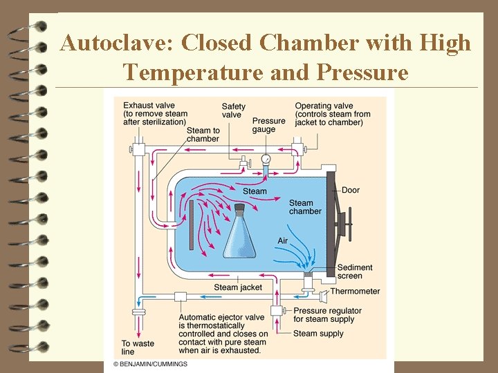 Autoclave: Closed Chamber with High Temperature and Pressure 