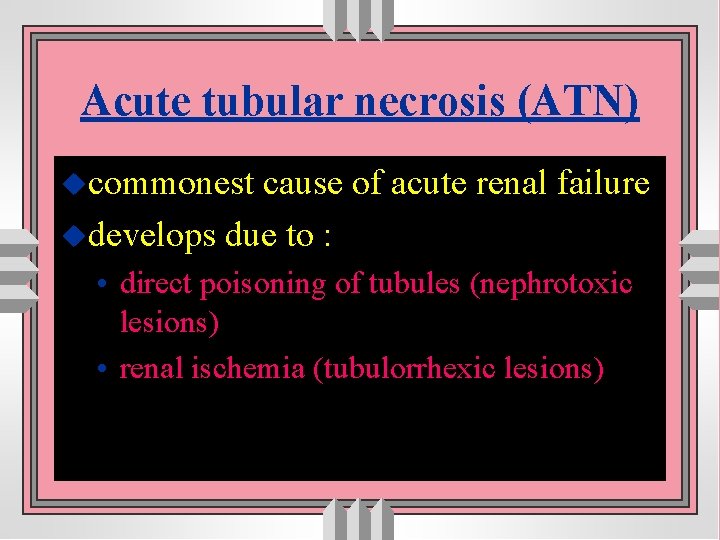 Acute tubular necrosis (ATN) ucommonest cause of acute renal failure udevelops due to :