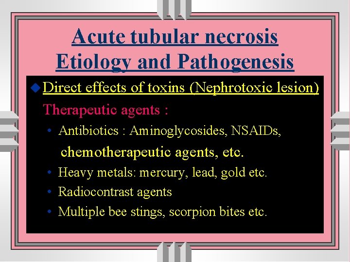 Acute tubular necrosis Etiology and Pathogenesis u Direct effects of toxins (Nephrotoxic lesion) Therapeutic