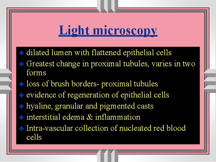 Light microscopy u dilated lumen with flattened epithelial cells u Greatest change in proximal