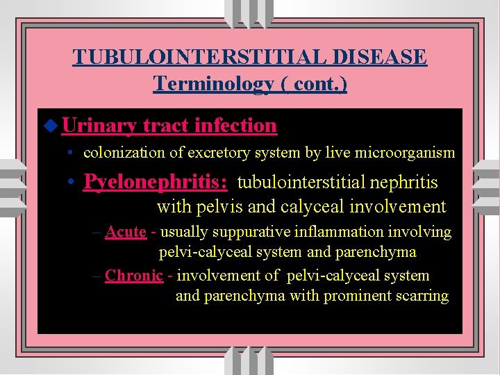 TUBULOINTERSTITIAL DISEASE Terminology ( cont. ) u Urinary tract infection • colonization of excretory