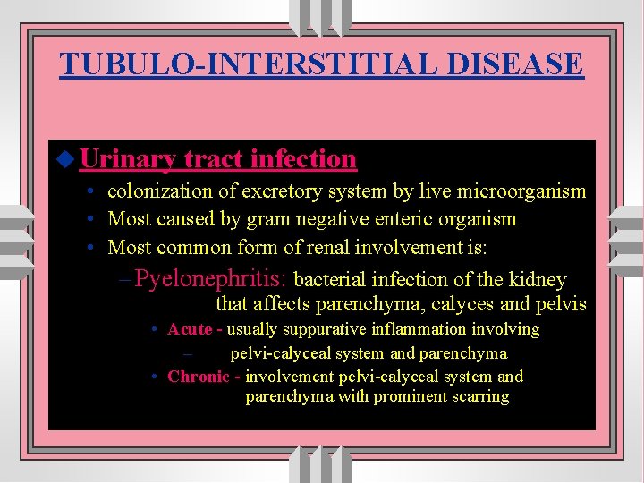 TUBULO-INTERSTITIAL DISEASE u Urinary tract infection • colonization of excretory system by live microorganism