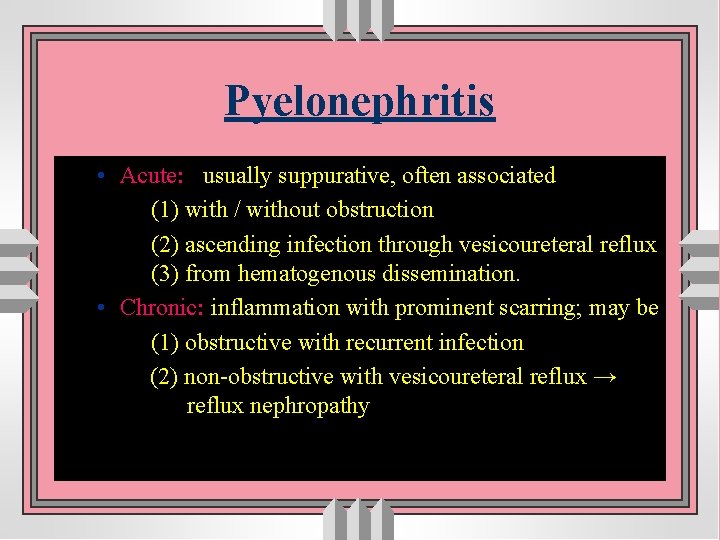 Pyelonephritis • Acute: usually suppurative, often associated (1) with / without obstruction (2) ascending