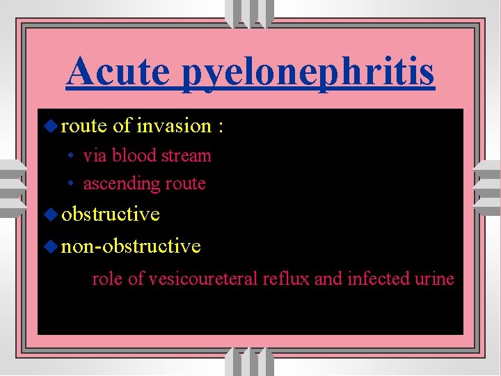 Acute pyelonephritis u route of invasion : • via blood stream • ascending route