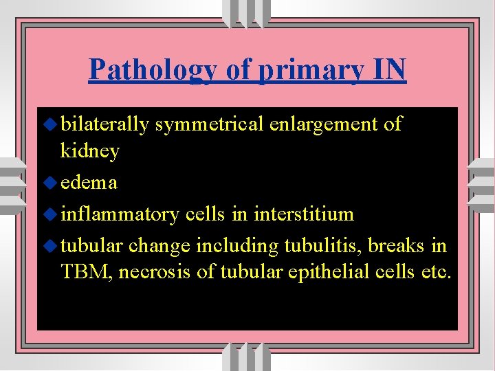Pathology of primary IN u bilaterally symmetrical enlargement of kidney u edema u inflammatory