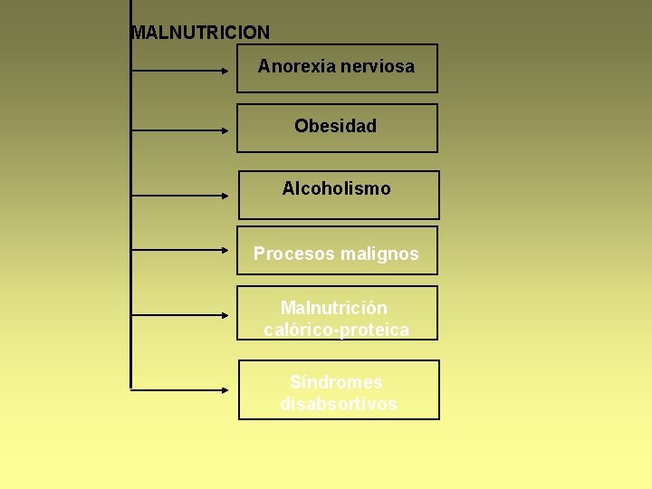 MALNUTRICION Anorexia nerviosa Obesidad Alcoholismo Procesos malignos Malnutrición calórico-proteica Síndromes disabsortivos 