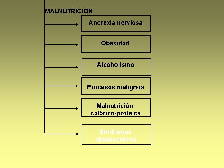 MALNUTRICION Anorexia nerviosa Obesidad Alcoholismo Procesos malignos Malnutrición calórico-proteica Síndromes disabsortivos 