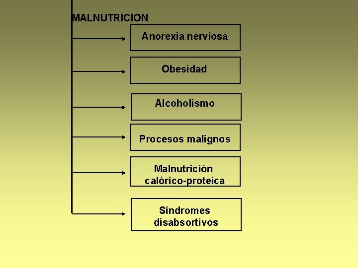 MALNUTRICION Anorexia nerviosa Obesidad Alcoholismo Procesos malignos Malnutrición calórico-proteica Síndromes disabsortivos 