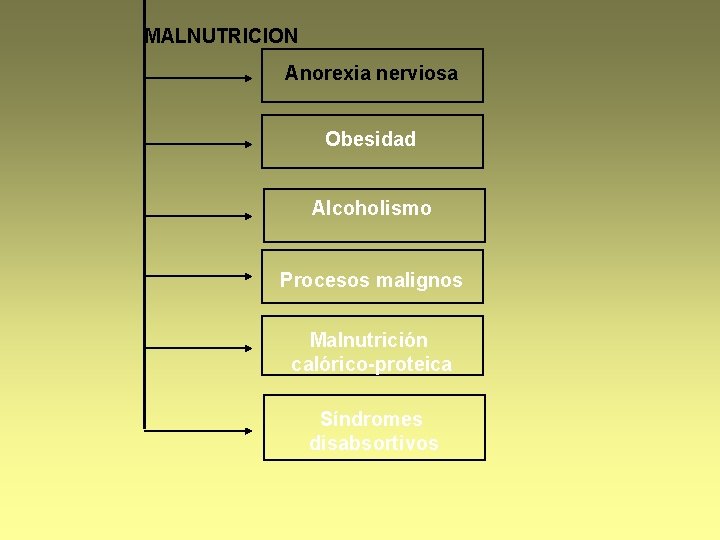 MALNUTRICION Anorexia nerviosa Obesidad Alcoholismo Procesos malignos Malnutrición calórico-proteica Síndromes disabsortivos 