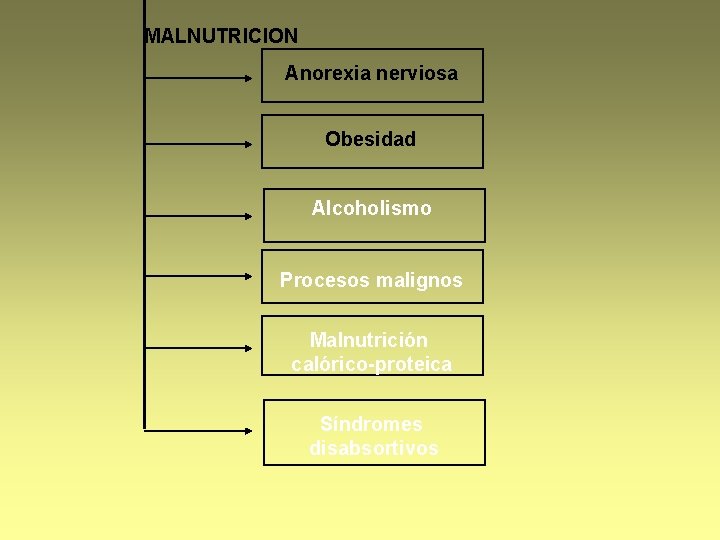 MALNUTRICION Anorexia nerviosa Obesidad Alcoholismo Procesos malignos Malnutrición calórico-proteica Síndromes disabsortivos 