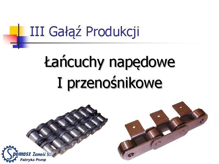 III Gałąź Produkcji Łańcuchy napędowe I przenośnikowe 