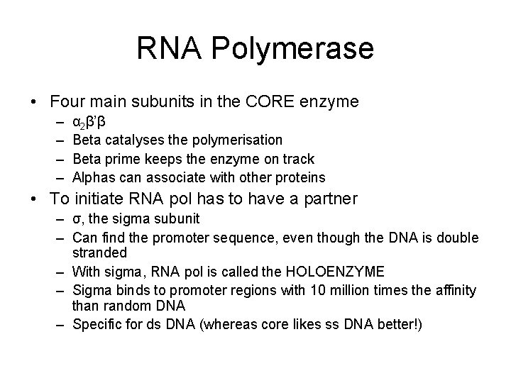 RNA Polymerase • Four main subunits in the CORE enzyme – – α 2β’β