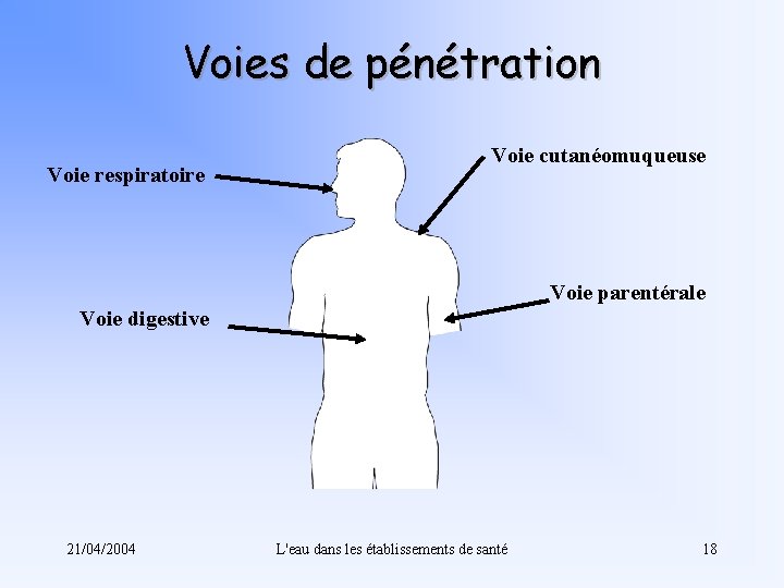 Voies de pénétration Voie respiratoire Voie cutanéomuqueuse Voie parentérale Voie digestive 21/04/2004 L'eau dans