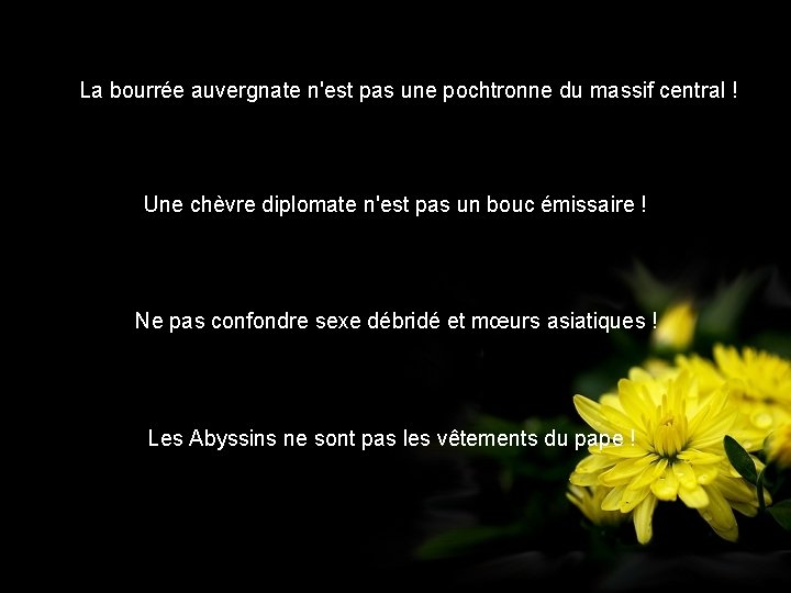 La bourrée auvergnate n'est pas une pochtronne du massif central ! Une chèvre diplomate