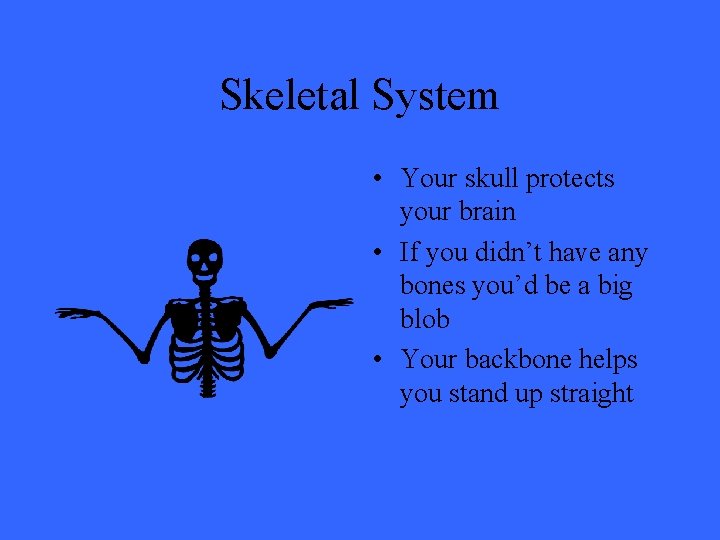 Skeletal System • Your skull protects your brain • If you didn’t have any