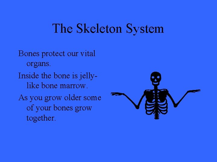 The Skeleton System Bones protect our vital organs. Inside the bone is jellylike bone