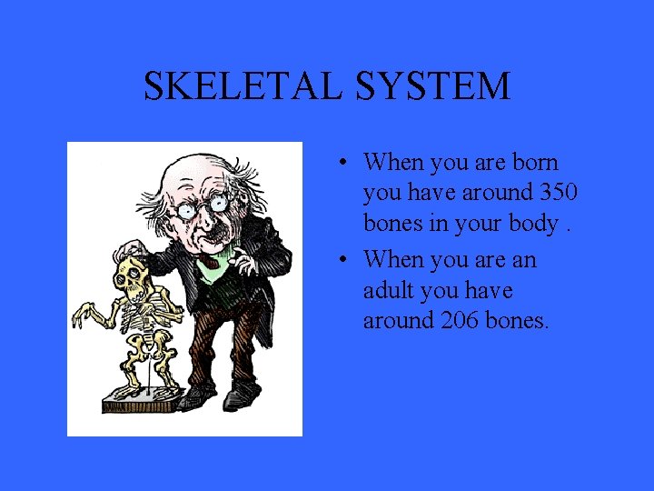 SKELETAL SYSTEM • When you are born you have around 350 bones in your