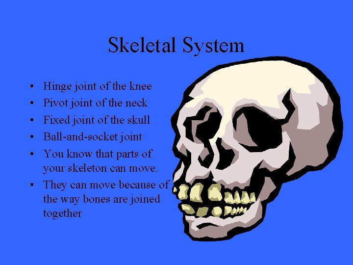 Skeletal System • • • Hinge joint of the knee Pivot joint of the