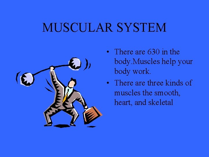MUSCULAR SYSTEM • There are 630 in the body. Muscles help your body work.