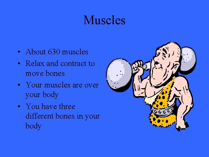 Muscles • About 630 muscles • Relax and contract to move bones • Your