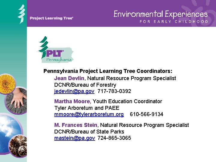 Pennsylvania Project Learning Tree Coordinators: Jean Devlin, Natural Resource Program Specialist DCNR/Bureau of Forestry