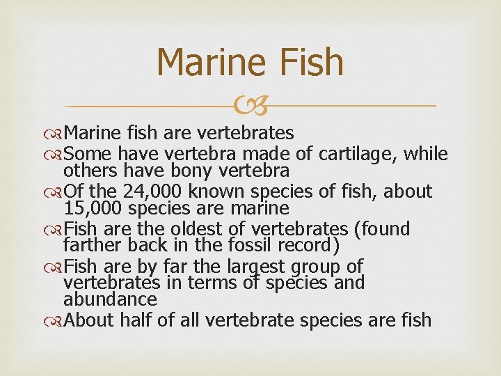 Marine Fish Marine fish are vertebrates Some have vertebra made of cartilage, while others