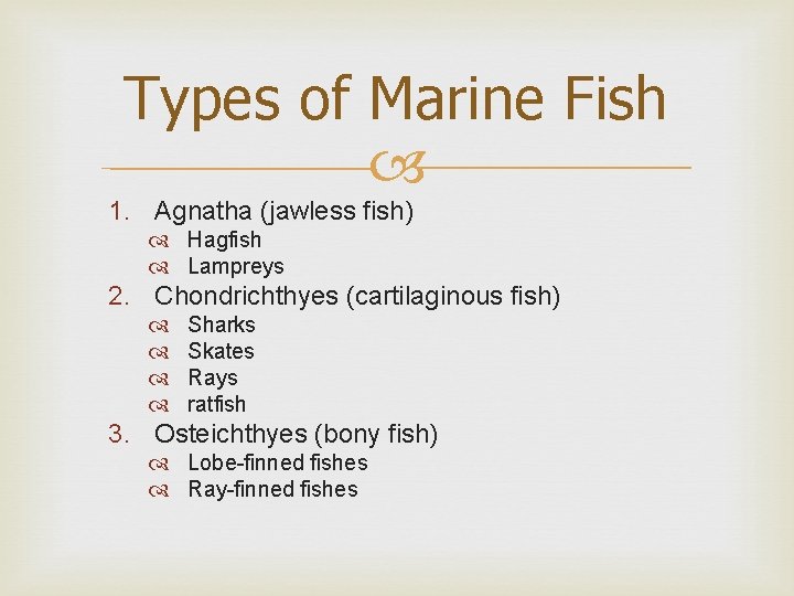 Types of Marine Fish 1. Agnatha (jawless fish) Hagfish Lampreys 2. Chondrichthyes (cartilaginous fish)