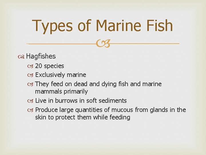 Types of Marine Fish Hagfishes 20 species Exclusively marine They feed on dead and