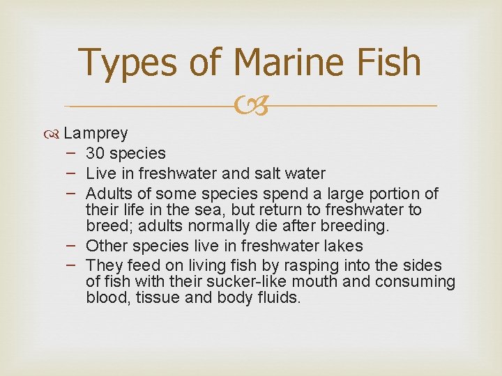 Types of Marine Fish Lamprey – 30 species – Live in freshwater and salt