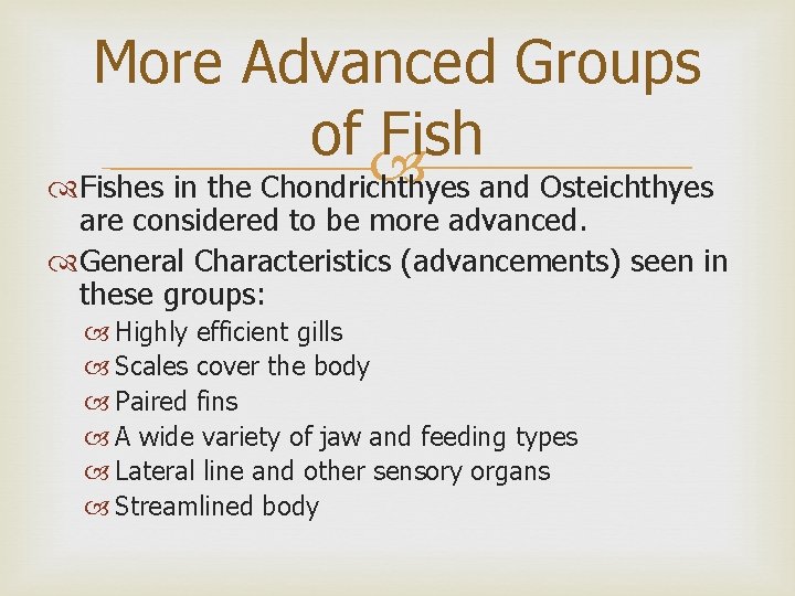 More Advanced Groups of Fishes in the Chondrichthyes and Osteichthyes are considered to be