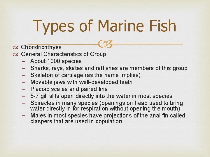 Types of Marine Fish Chondrichthyes General Characteristics of Group: – About 1000 species –