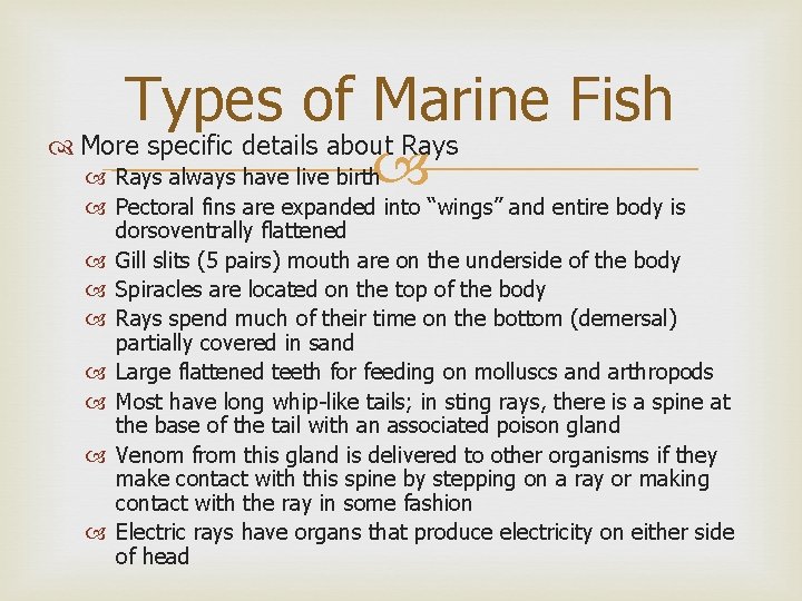 Types of Marine Fish More specific details about Rays always have live birth Pectoral