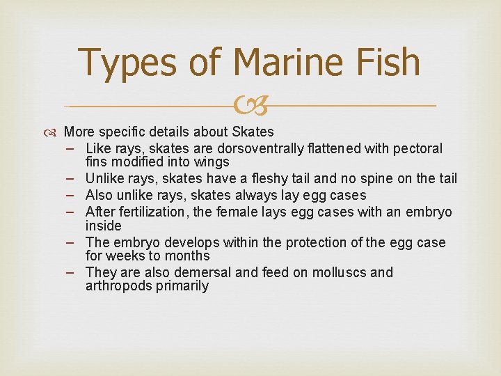 Types of Marine Fish More specific details about Skates – Like rays, skates are