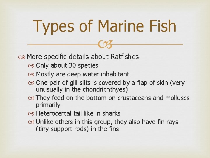 Types of Marine Fish More specific details about Ratfishes Only about 30 species Mostly